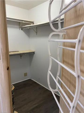 Spacious closet featuring dark wood-style flooring