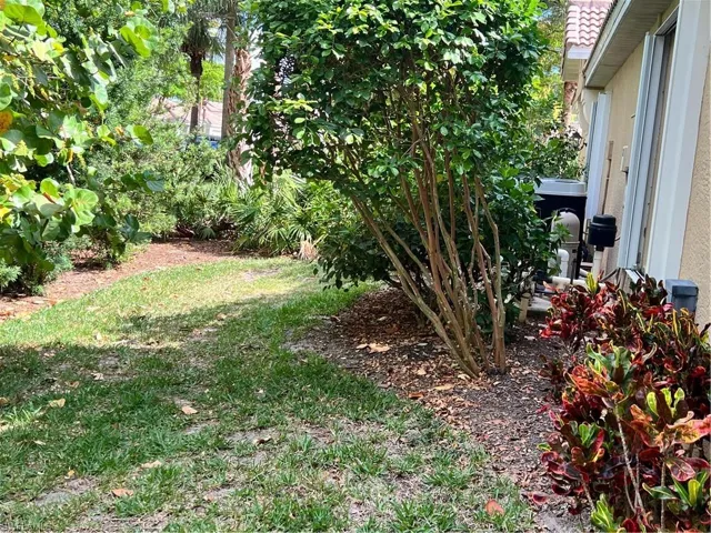 Side yard