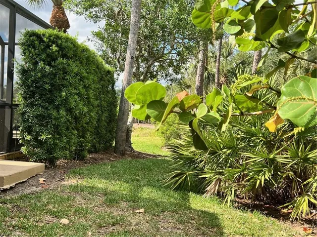Side yard