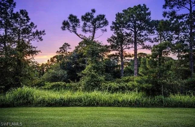 Yard at dusk with a lawn and view of scattered trees