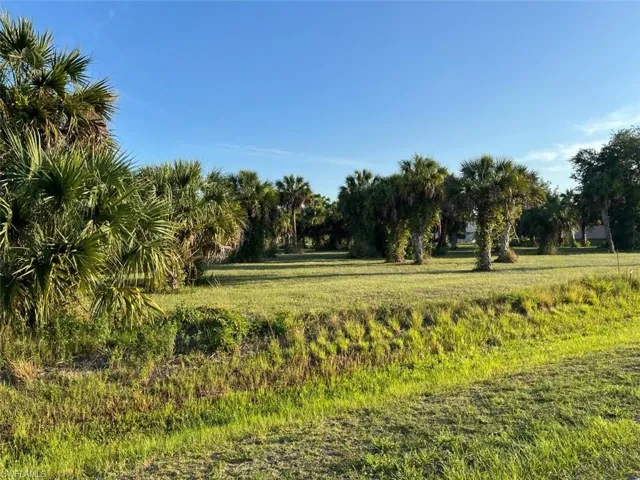 View of local wilderness