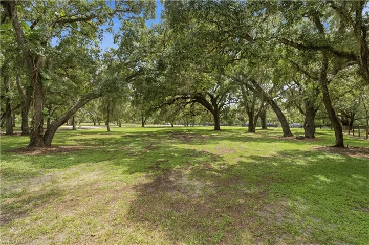3651 Bateman Rd, Alva, Florida 33920