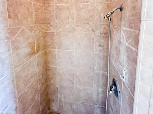 Room details with tiled shower