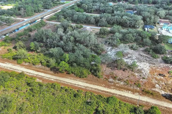 Bird's eye view of a tree filled landscape