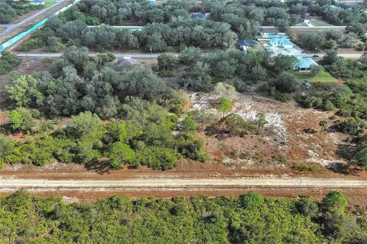 Drone / aerial view of a tree filled landscape