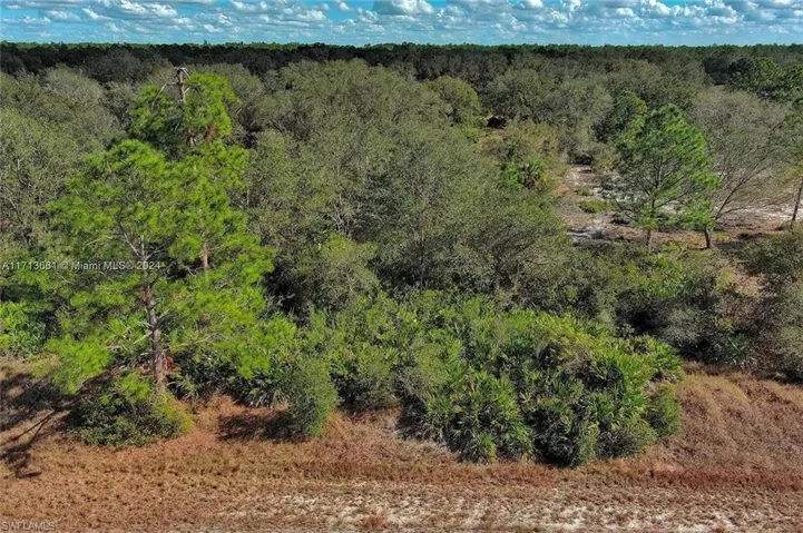 View of wooded area