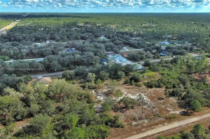 Aerial view of a forest