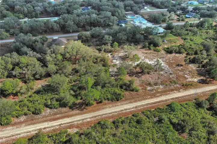 Bird's eye view of a tree filled landscape
