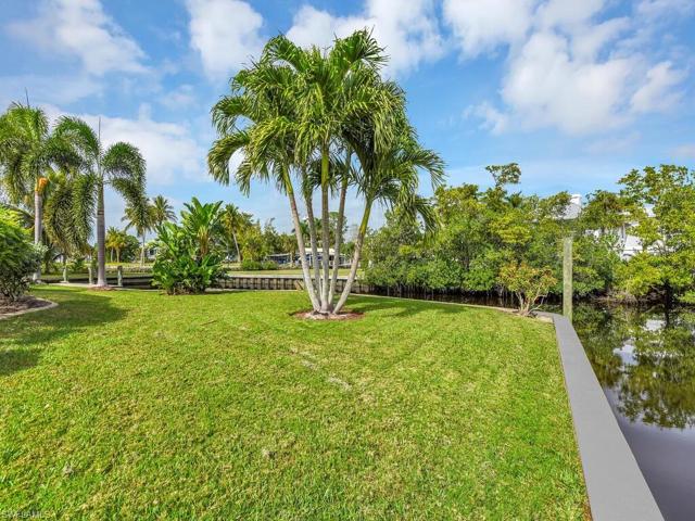 Huge Backyard