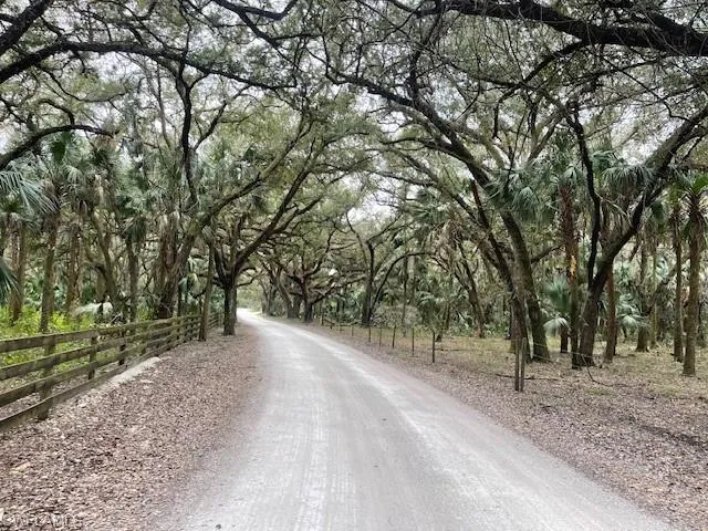 View of road