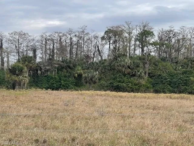 View of landscape