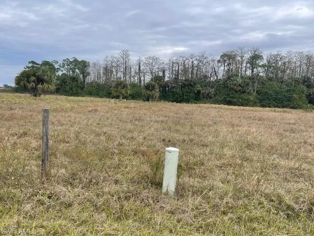 View of local wilderness featuring a rural view