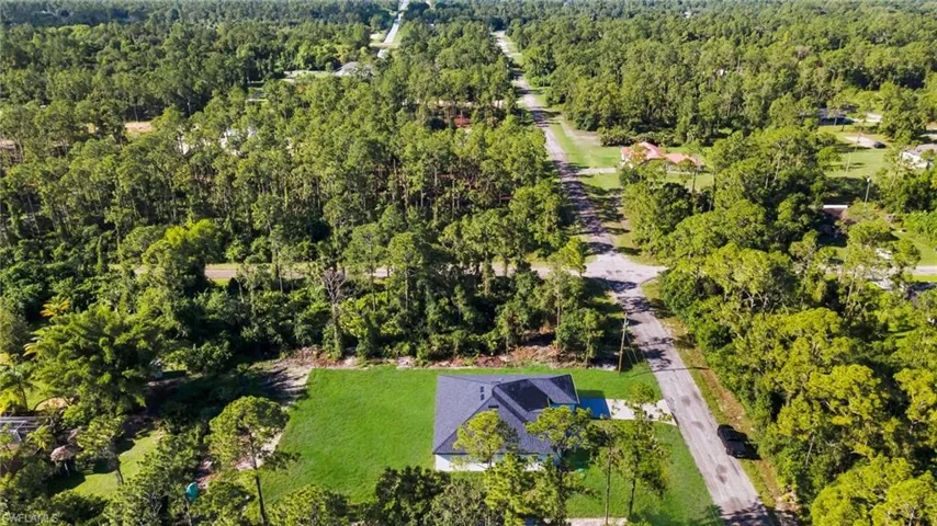Aerial view of a forest