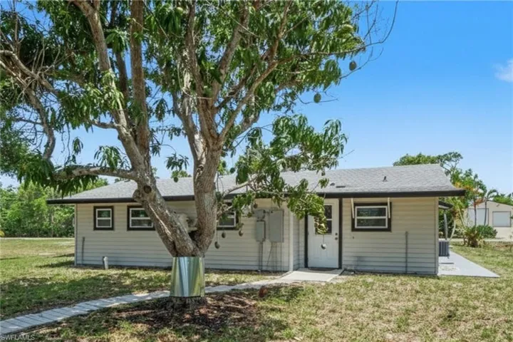 Back of 3728 Gasparilla St with fruit bearing Mango tree