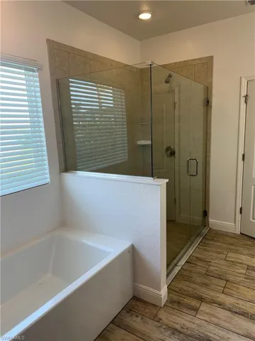 Master Tub and Shower