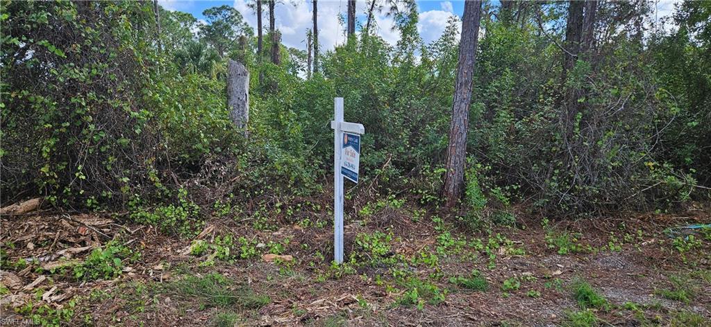 663  Hawthorne S AVE, Lehigh Acres, FL 33974