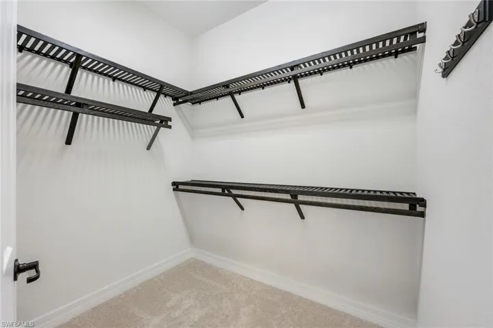 Spacious closet with carpet