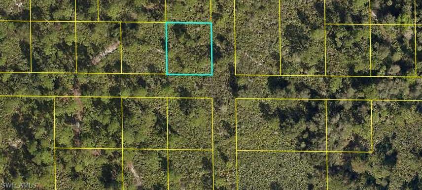 Wooded Lot