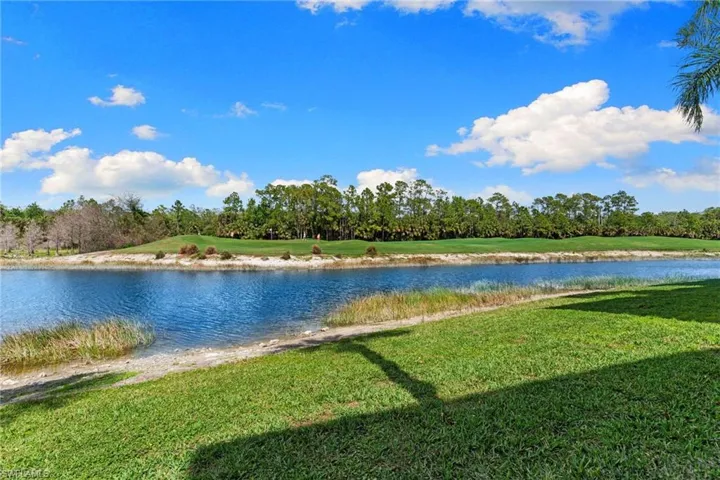 Water view featuring a tree filled landscape