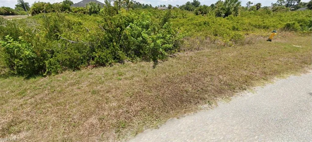 View of local wilderness