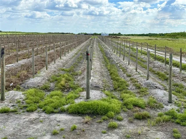 5567 5th Rd, Labelle, Florida 33935