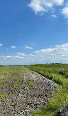 5567 5th Rd, Labelle, Florida 33935