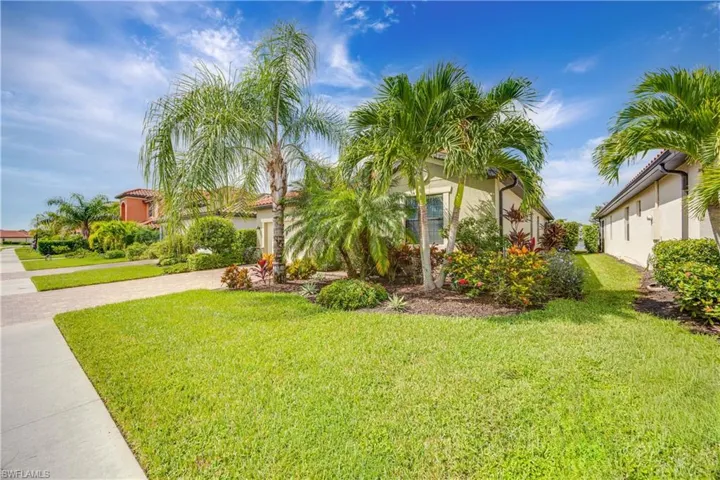 Front Yard