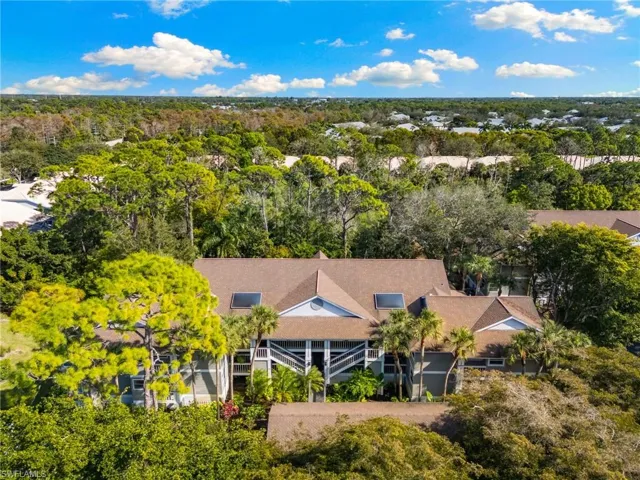 Aerial view of a tree filled landscape