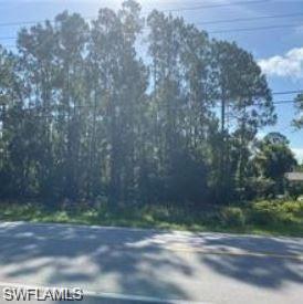 WILSON NW BLVD, Naples, FL 34120