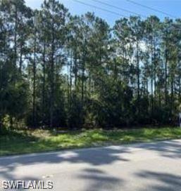 WILSON NW BLVD, Naples, FL 34120