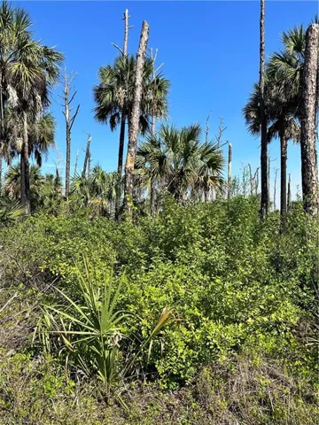 14TH AVE SE, NAPLES FL 34117