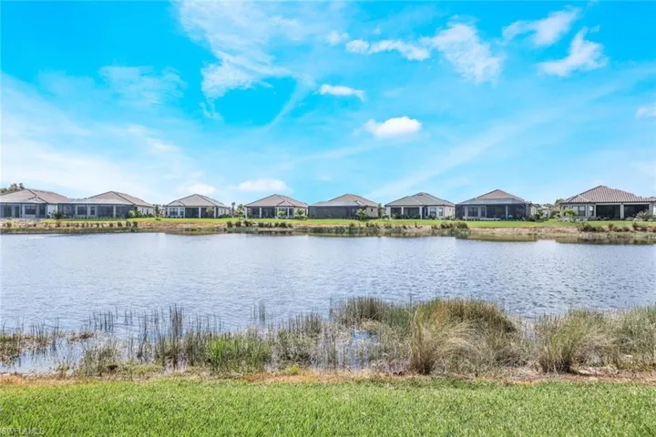 Lake Views