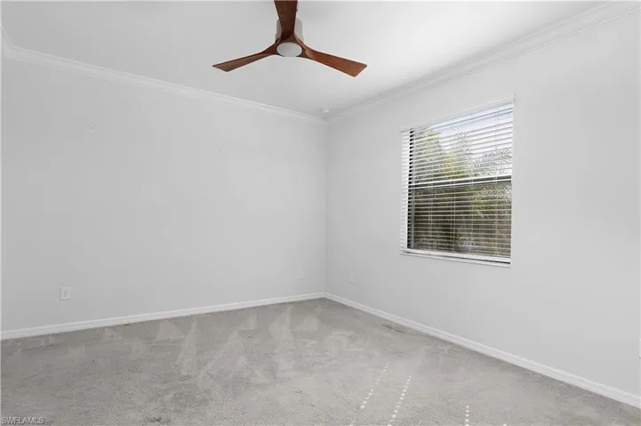 Spare room featuring crown molding, ceiling fan, and carpet floors