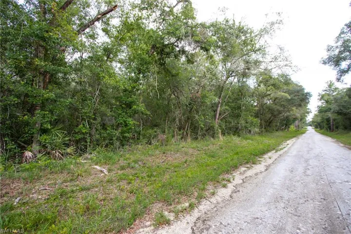 Natural land setting featuring dense foliage, mature trees, and an unpaved road