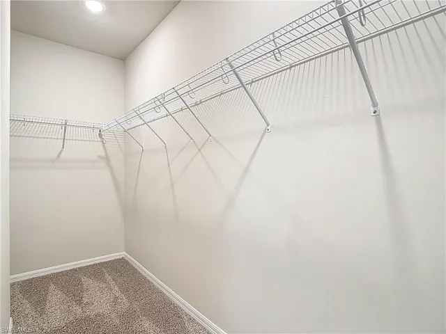 Spacious closet featuring carpet flooring