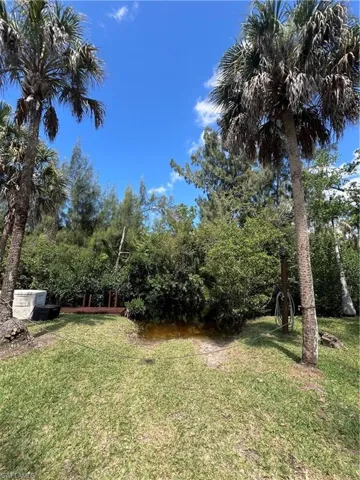 Expansive outdoor space featuring a grass lawn and mature palm trees