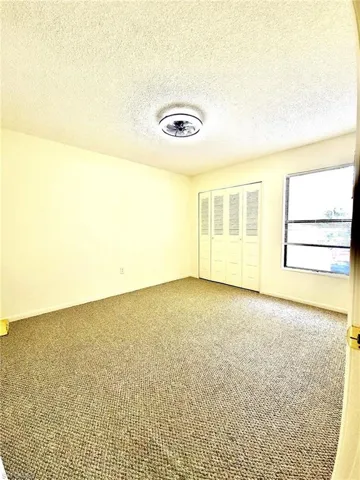 Bright interior space featuring textured wall-to-wall carpeting and a ceiling-mounted light fixture