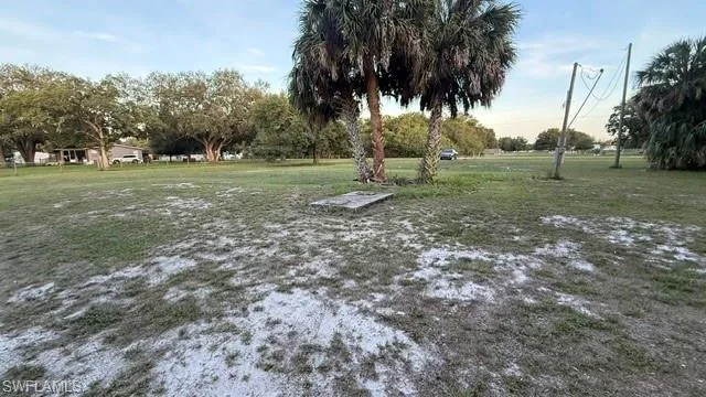 Expansive natural landscape featuring scattered mature palm trees and green ground cover