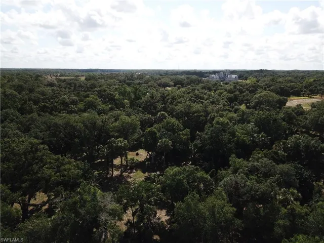 Bird's eye view featuring a wooded view
