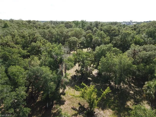 Birds eye view of property featuring a wooded view