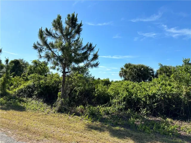 1222 Earnest St E, Lehigh Acres Fl 33974