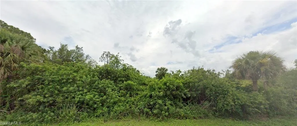 View of undeveloped land