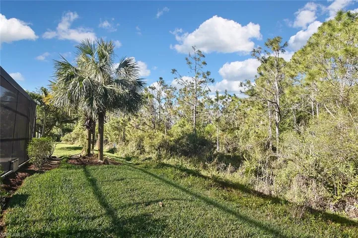 The Green space and Preserve