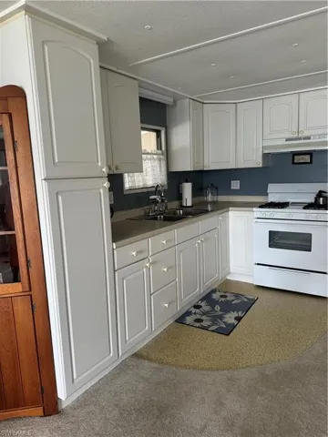 Kitchen with sink, range, carpet floors, ventilation hood, and white cabinets