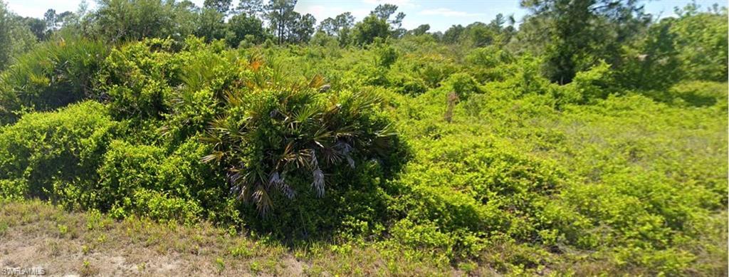 1521 Poinsettia AVE, LEHIGH ACRES FL 33972