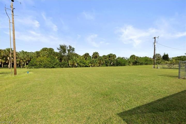 Spacious Backyard