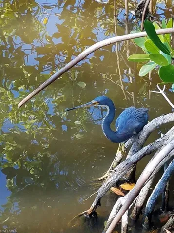 4556 Bowen Bayou Rd, Sanibel, Florida 33957