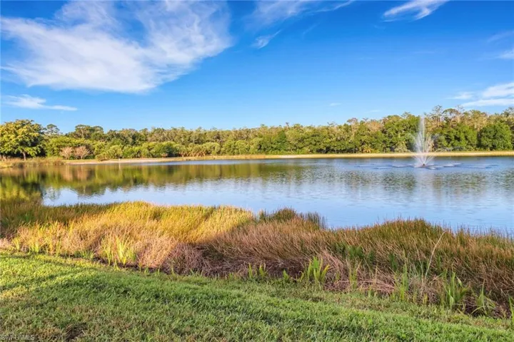 Water view featuring a view of trees