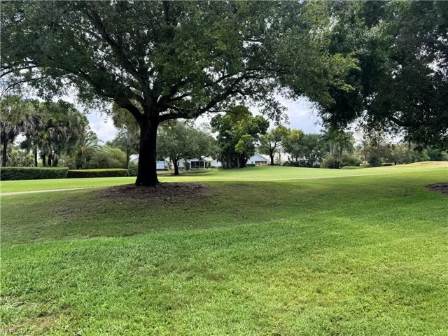 Expansive green space featuring a large mature tree, manicured lawn, and distant residential structures