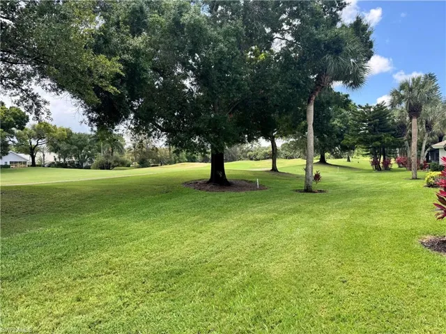 Expansive green lawn featuring mature trees and tropical palms